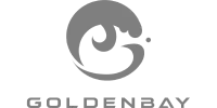 Visa partner logo